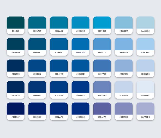 website color palette